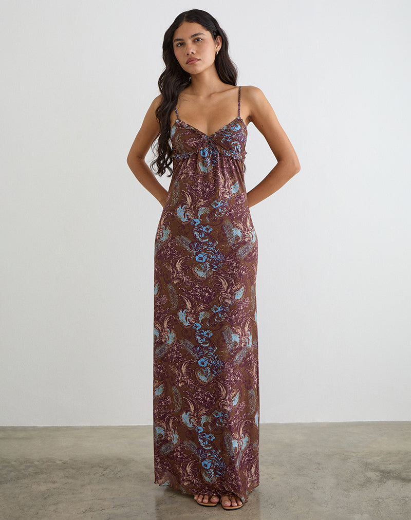 Alnaka Maxi Dress in Feathery Paisley Brown