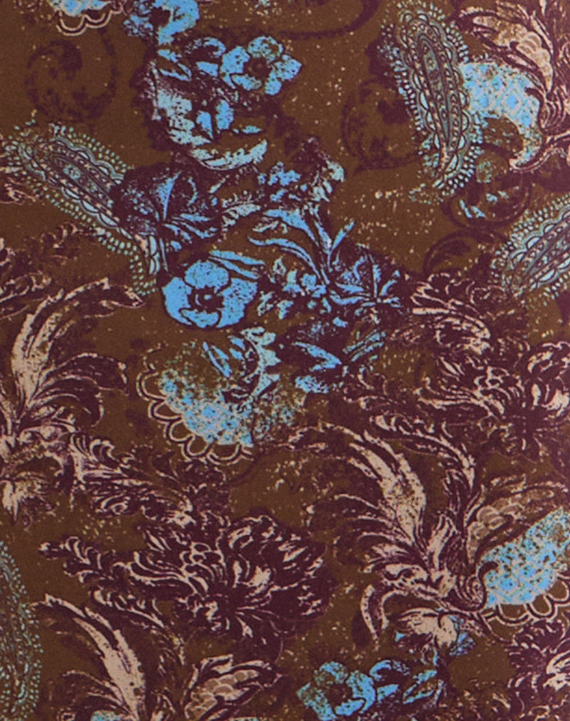 Alnaka Maxi Dress in Feathery Paisley Brown