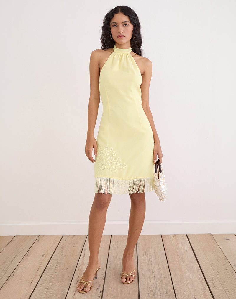 Brisea Mini Dress in Lemon with Vintage Bloom Embroidery