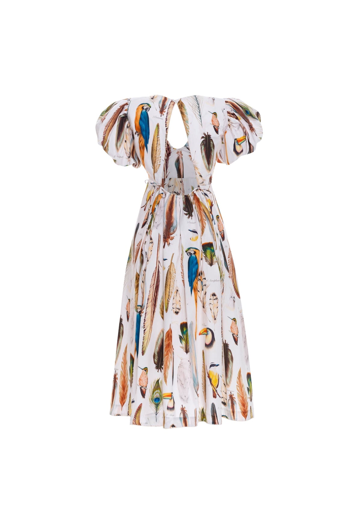 Chontaduro Pluma Midi Dress