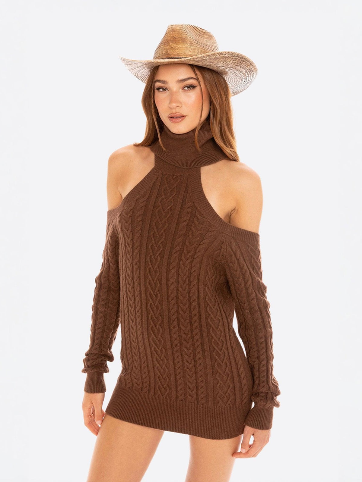 Margo Knit Dress (Brown) (Final Sale)