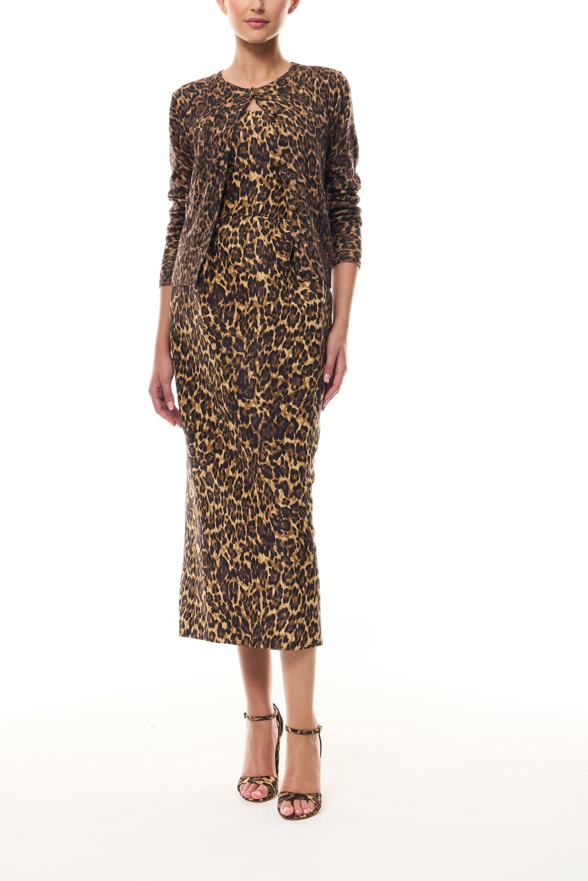 Leopard Printed Cocktail Dress