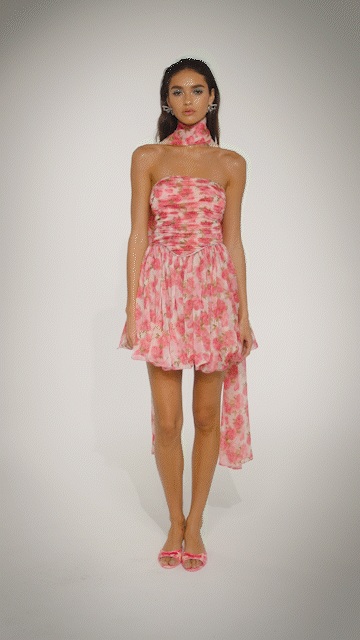 Chloe Dress (Pink Print) (Final Sale)