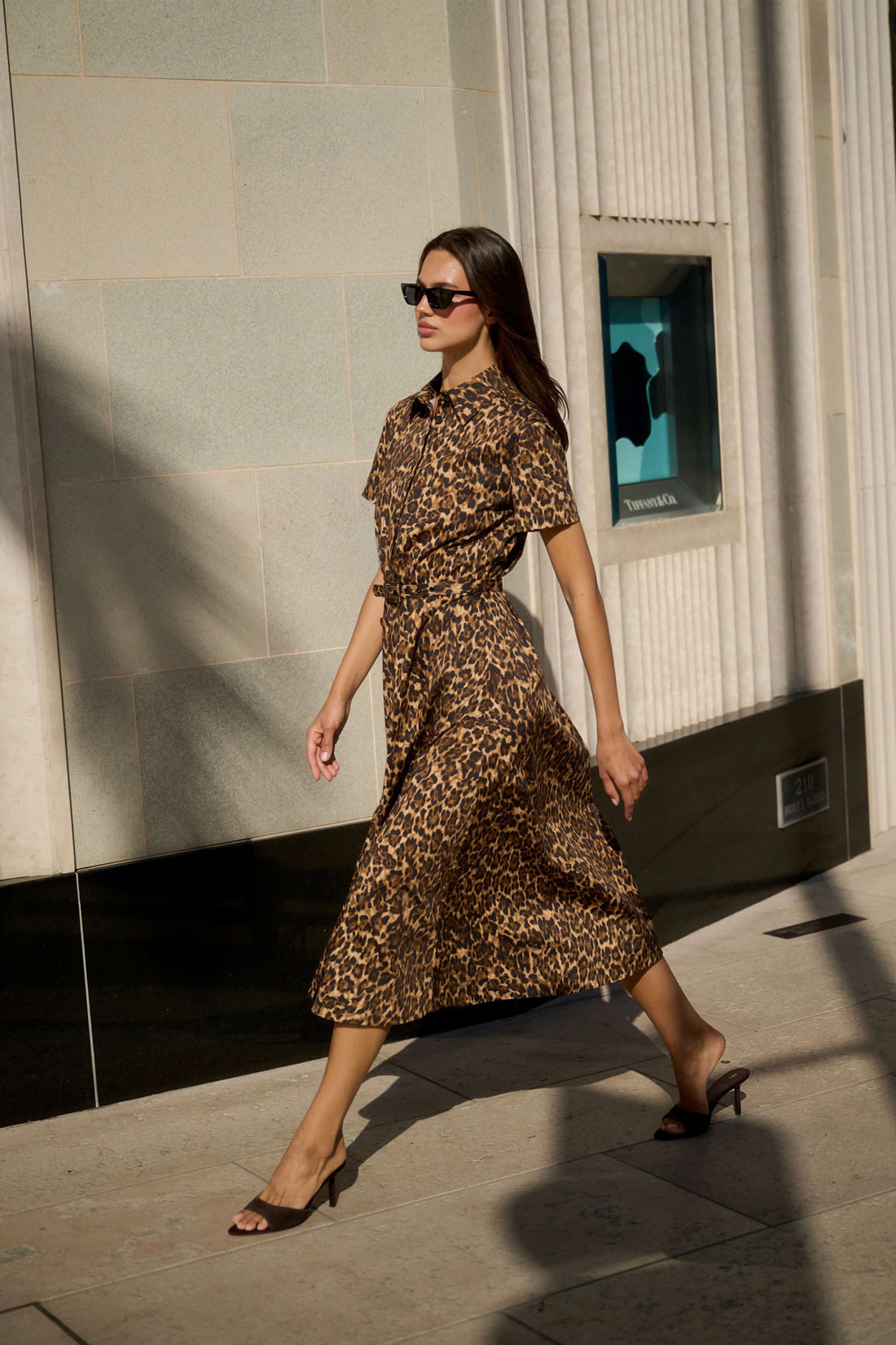 Leopard Poplin Shirt Dress