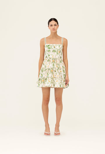Lima Wild Mini Dress