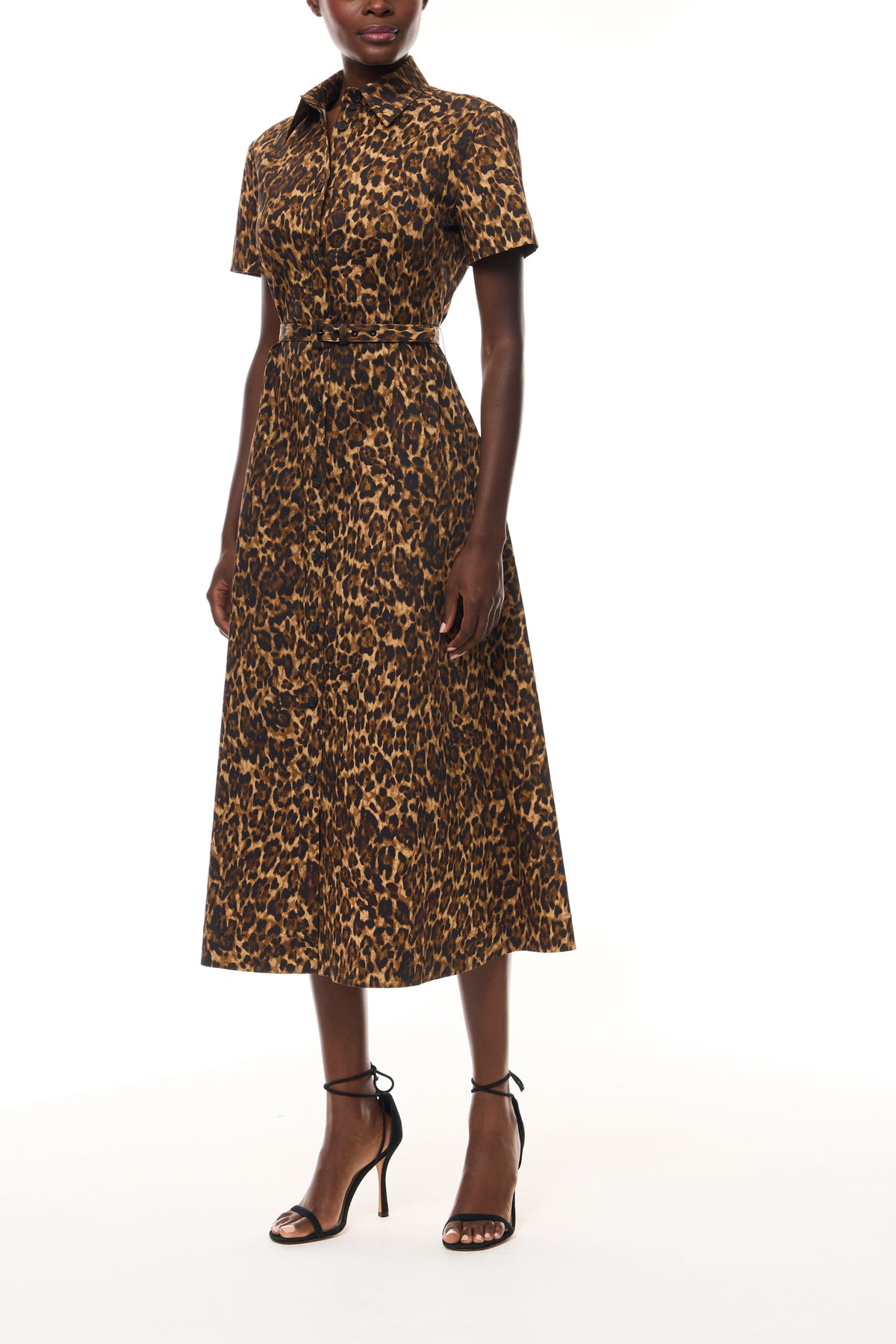 Leopard Poplin Shirt Dress