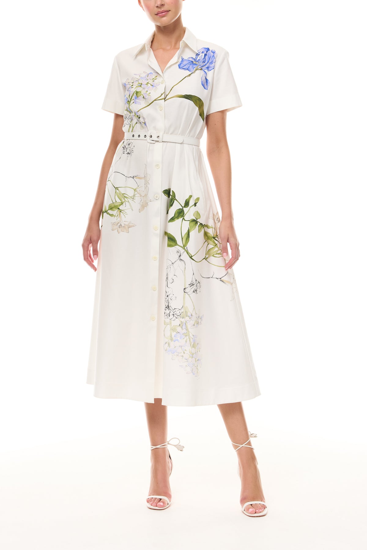 Iris Printed Poplin Day Dress