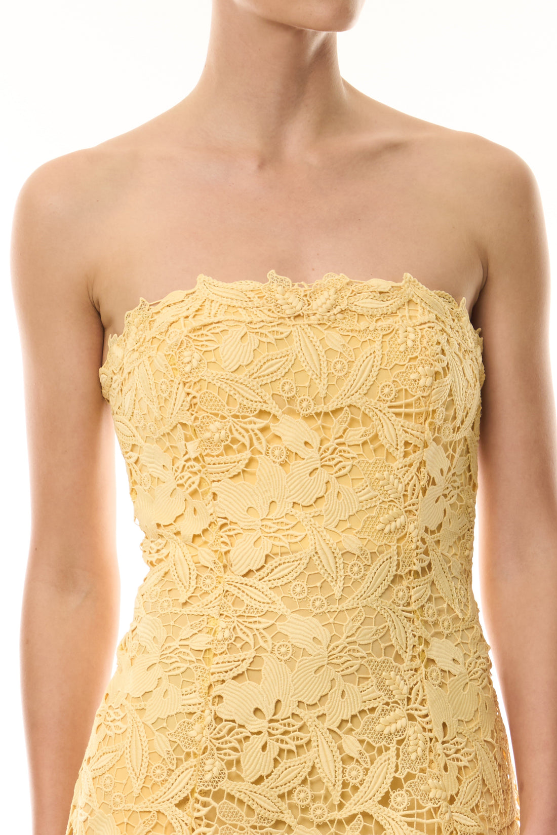 Strapless Lace Midi Dress