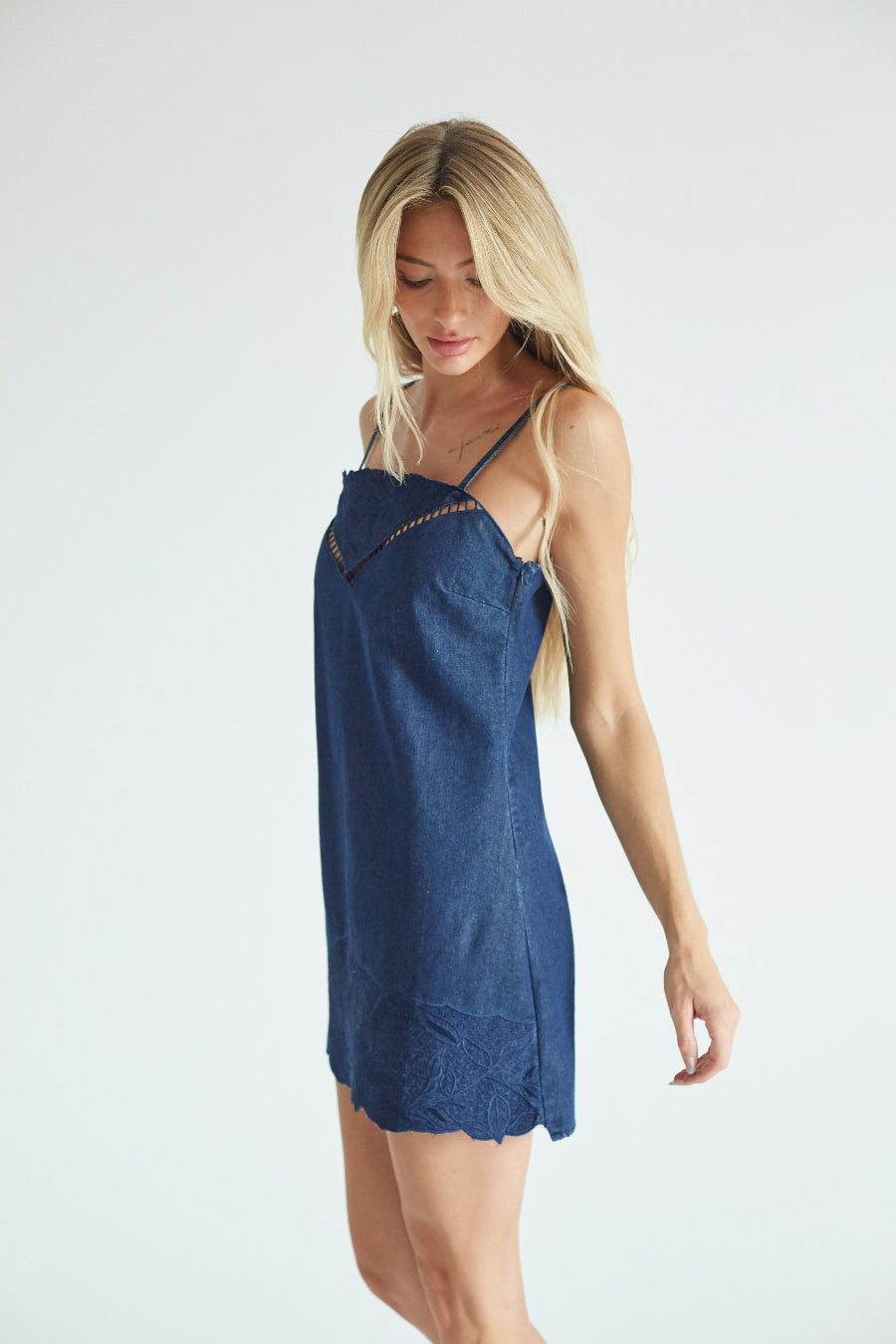 Tessie Embroidered Denim Mini Dress