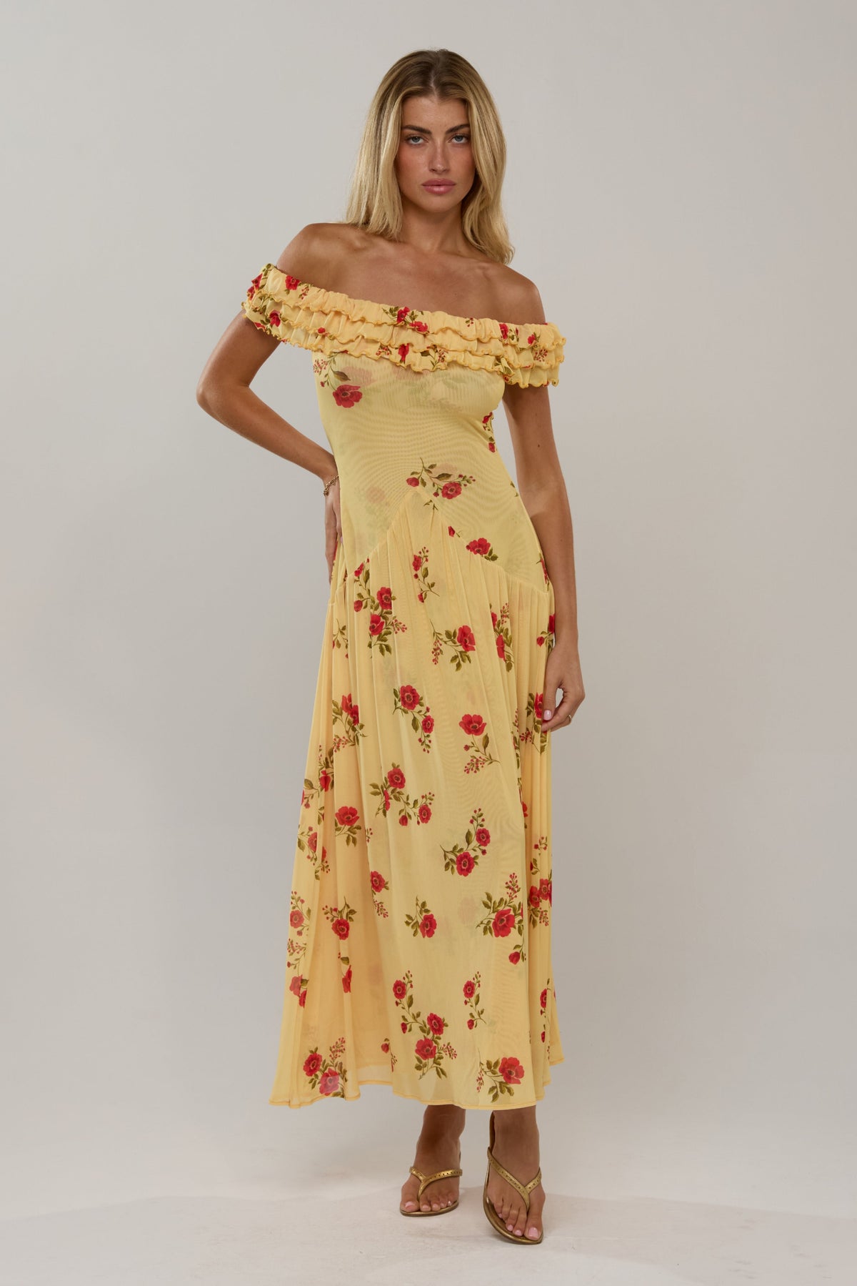Dolly in Saffron